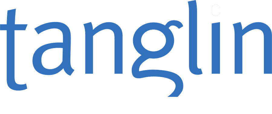 Tanglin Consultancy - Your Outsourced CIO